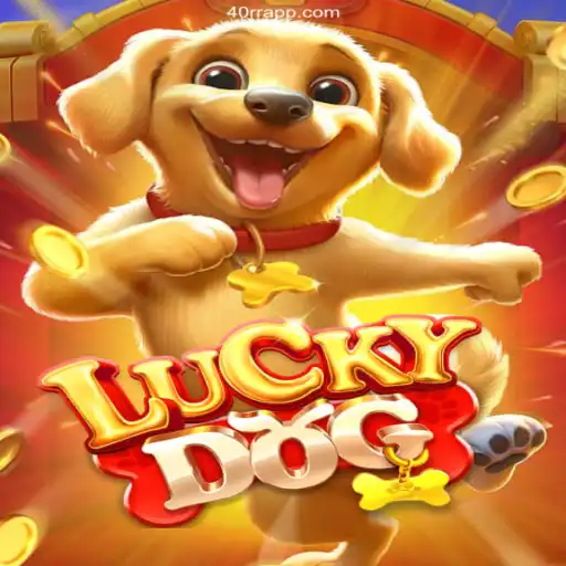 LuckyDog: Uma Aventura Emocionante no Melhor Cassino Online do Brasil
